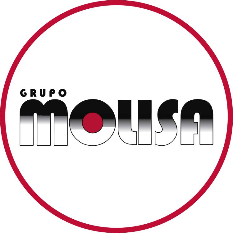 Grupo Mousa